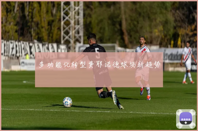 多功能化转型费耶诺德球场新趋势