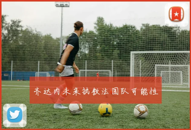 齐达内未来执教法国队可能性