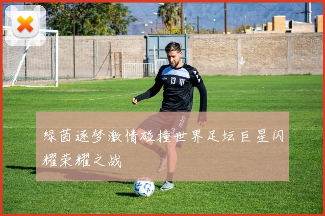 绿茵逐梦激情碰撞世界足坛巨星闪耀荣耀之战
