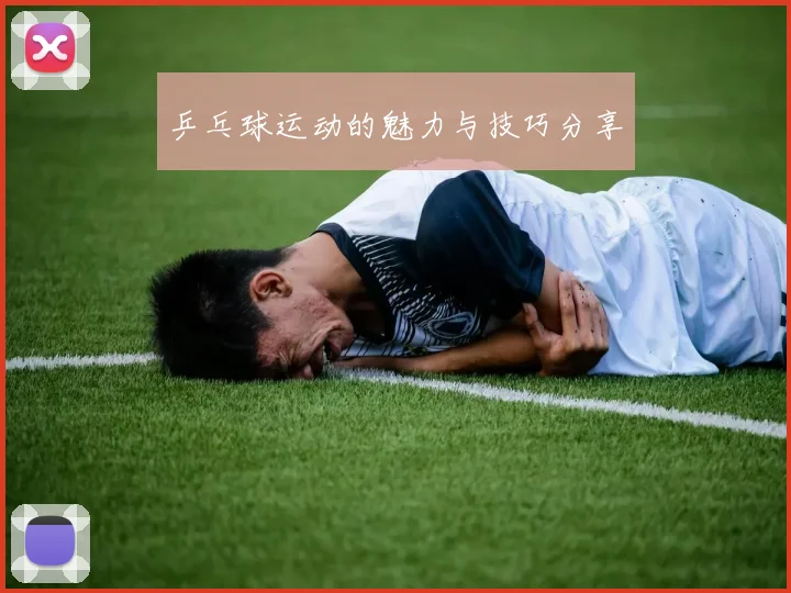 乒乓球运动的魅力与技巧分享